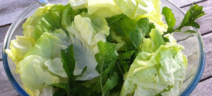 <a href="http://www.lehegarat-dieteticienne.fr/bienvenue/">Bienvenue !</a><span><p>Découvrez la recette du mois dans la rubrique « Les bonnes pratiques » !</p>
</span>